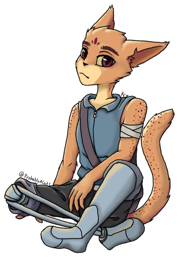Commission for KaidenMelon Commission for KaidenMelon
